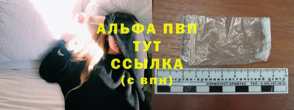 дживик Няндома