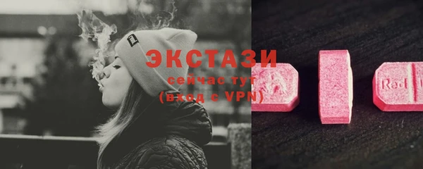 дживик Няндома
