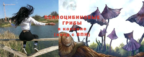 амф Алапаевск