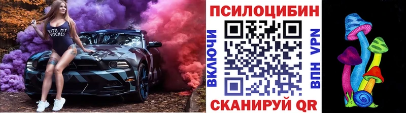 МЕГА ссылка  Выборг  Псилоцибиновые грибы MAGIC MUSHROOMS  купить  