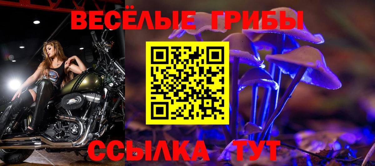 Галлюциногенные грибы мухоморы Выборг