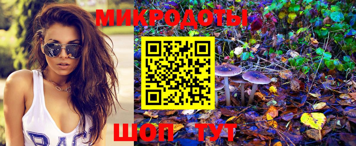 Псилоцибиновые грибы Psilocybe  Выборг 