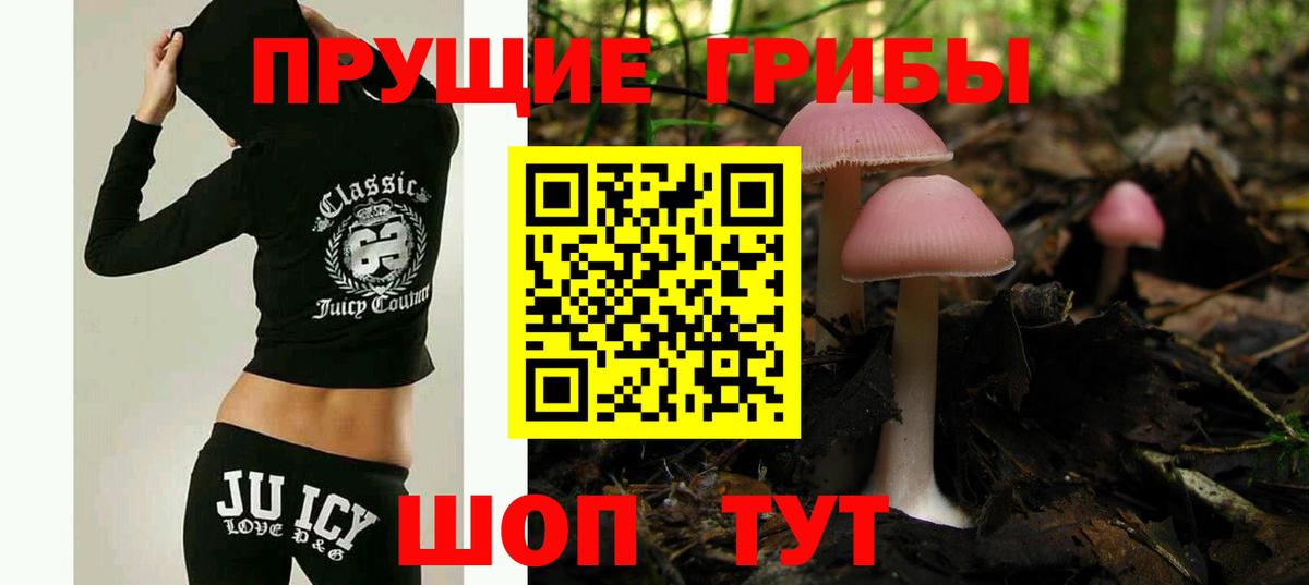 Выборг  цена наркотик  Вход с VPN  Галлюциногенные грибы мицелий 