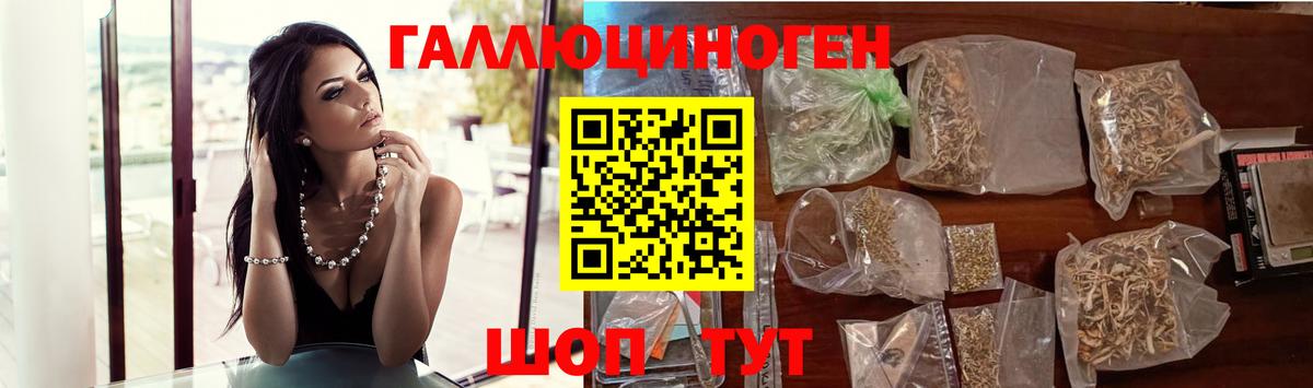 Псилоцибиновые грибы GOLDEN TEACHER Выборг