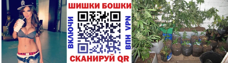наркошоп Выборг Шишки марихуана White Widow